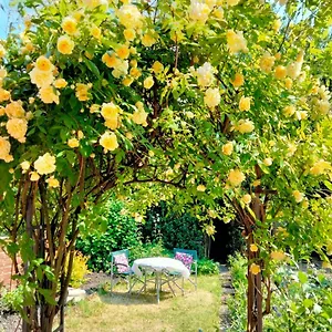 Holiday home Garden United Kingdom